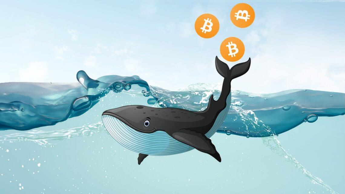The BTC whales and the BTC exchanges need not be different entities. A crash or an unexpected move stands to benefit the whal