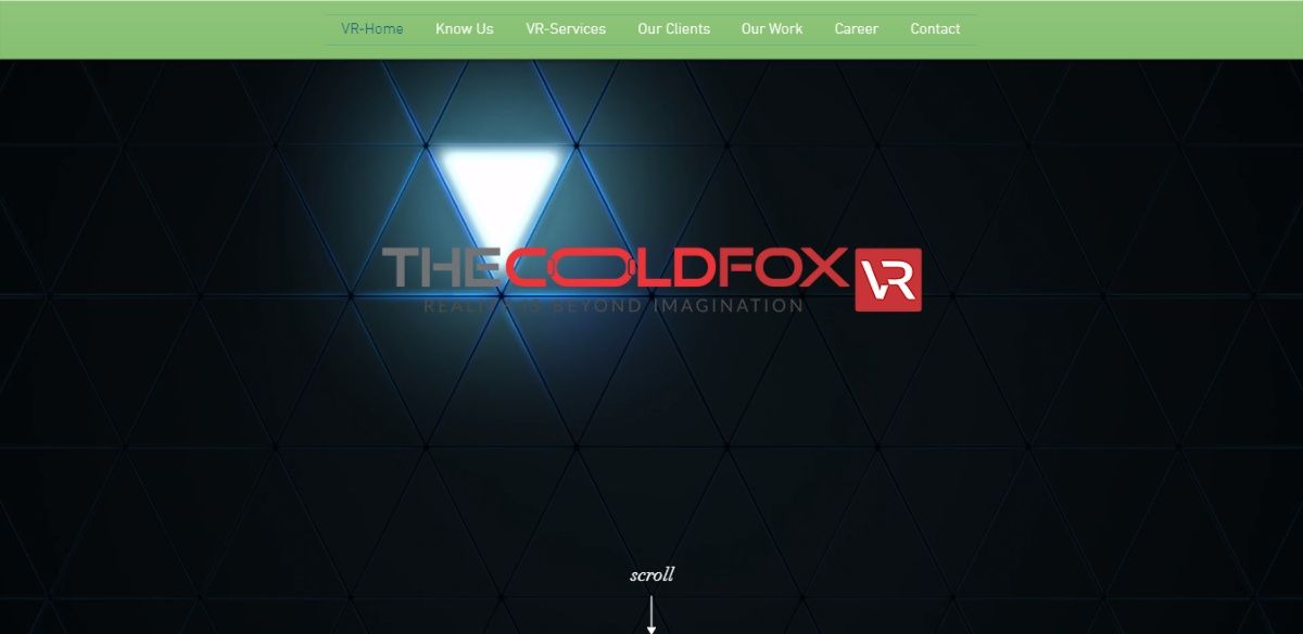 The ColdFox Website Screenshot